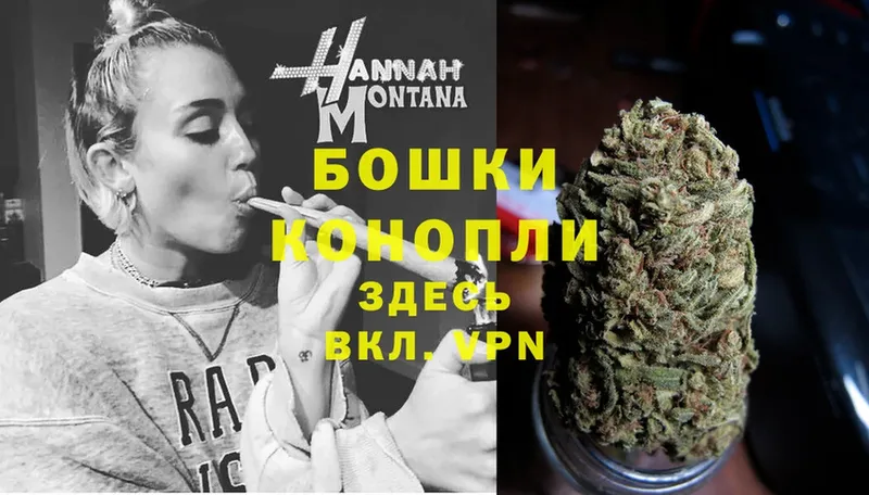 Бошки марихуана White Widow  мега онион  Тырныауз  как найти наркотики 